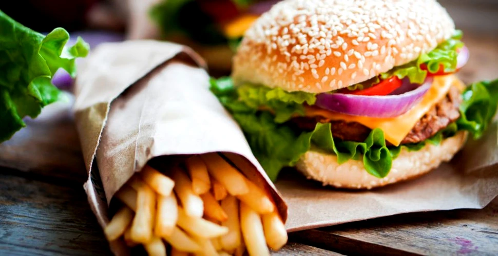 Experiment: ce se întâmplă dacă ţinem pe masă timp de 2 ani sandvişuri de la fast-food? (FOTO)