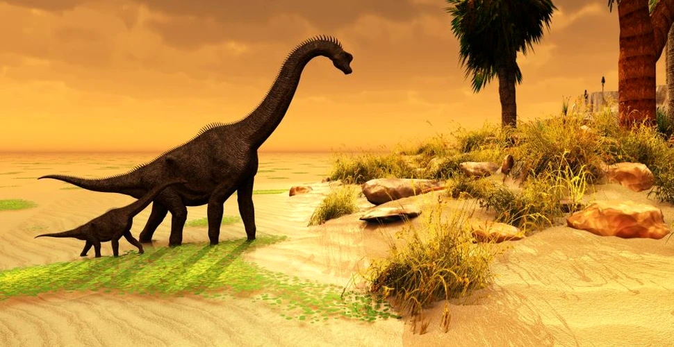 A fost descoperită o verigă lipsă crucială în istoria evolutivă a grupului care conţinea cei mai mari dinozauri