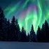 Test de cultură generală. Care este diferența dintre aurora boreală și aurora australă?