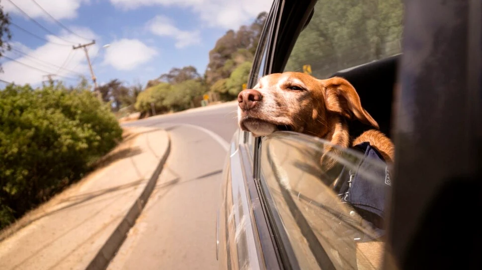 TOP 3 aparate care îți pot face viața mai ușoară