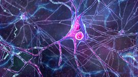 Imagine #4