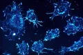 Cercetătorii au identificat peste 200 de gene care au legătură cu cancerul cerebral