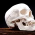 Academicienii de la Oxford au băut zeci de ani dintr-un potir făcut dintr-un craniu uman