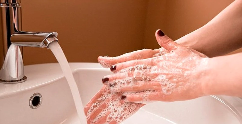 Cât de curate sunt mâinile tale după ce te-ai spălat cu săpun? Rezultatele unui experiment ştiinţific