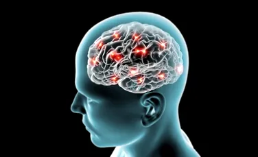 Cum este influenţat creierul de anotimpul în care te naşti. Efectele sunt surprinzătoare