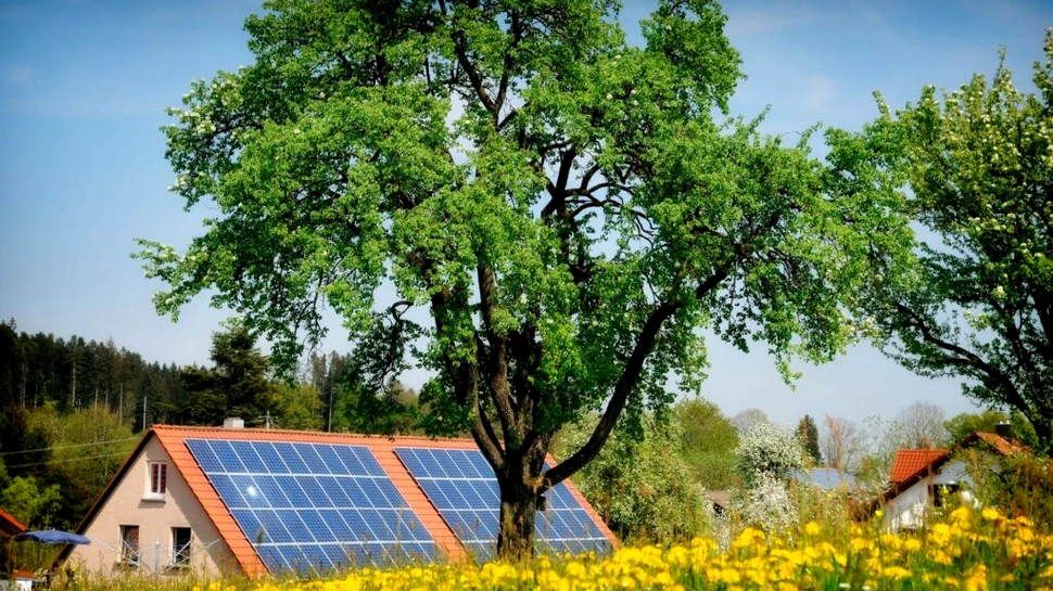 Inginerii au creat lemnul care oferă energie solară chiar și noaptea