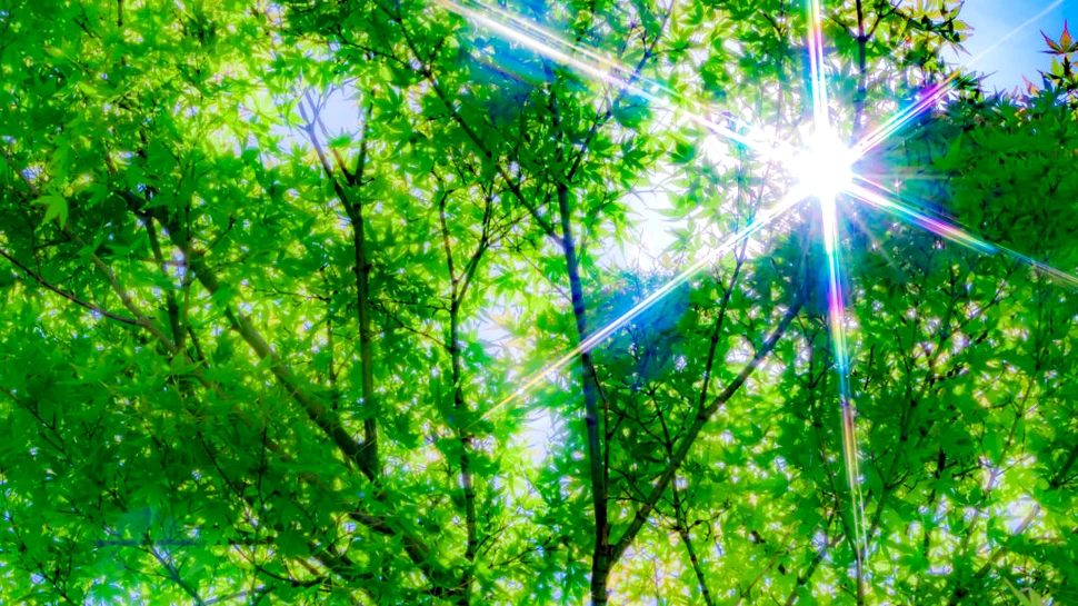 Meteorologii au anunțat cum vor fi temperaturile în luna mai