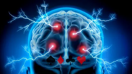 Ce se întâmplă la nivelul creierului în timp ce blufezi la poker? O perspectivă neuroștiințifică (P)