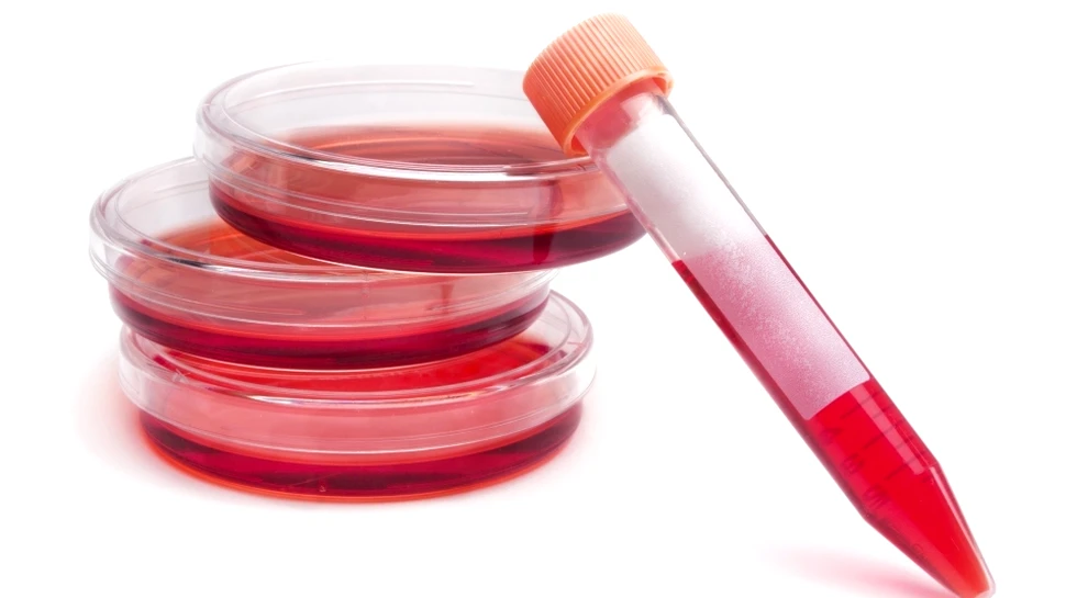 Izvorul veşnicei tinereţi? O metodă revoluţionară de obţinere a celulelor stem promite realizări uimitoare în medicină