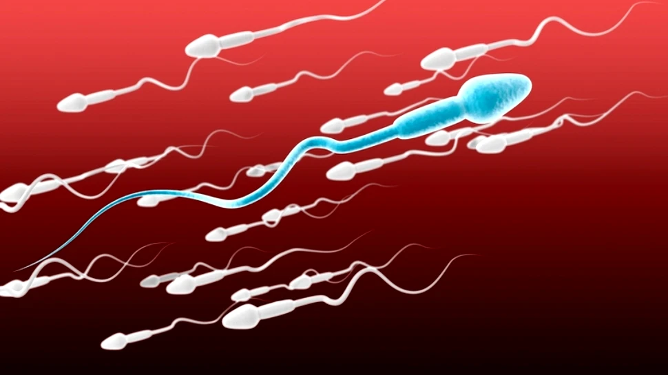 Spermatozoidul ”cyborg” – instrumentul care ar putea revoluţiona medicina (VIDEO)
