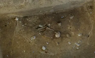 Un schelet de peste 4.000 de ani descoperit în Germania