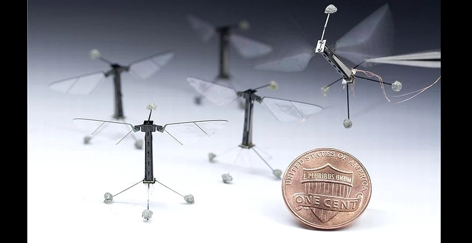 Uluitor: cel mai mic robot zburător realizat vreodată are dimensiunile unei muşte (VIDEO)