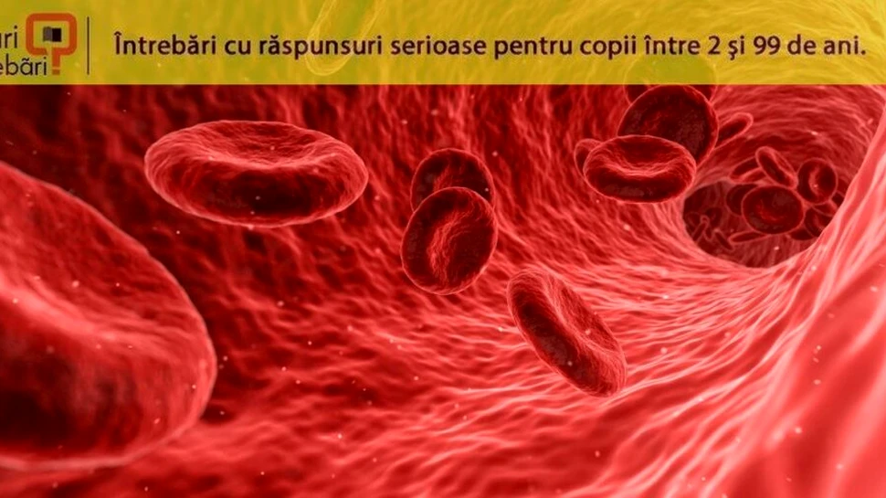 De ce au oamenii grupe de sânge diferite?