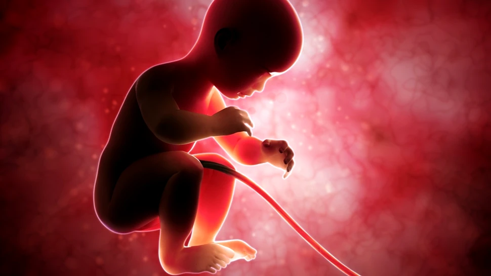 Marea Britanie a dat liber, în PREMIERĂ mondială, la modificarea genetică a embrionilor umani