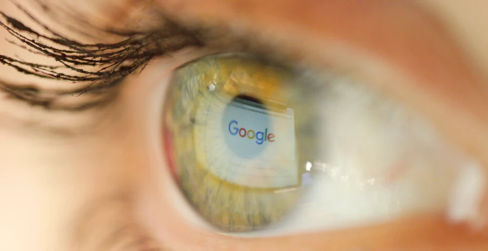 Google a dezvăluit un model AI capabil să identifice peste 2.000 de specii de animale