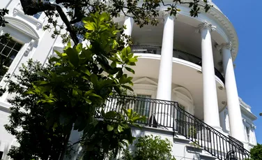 Un copac plantat la Casa Albă de cel de-al șaptelea președinte al SUA va fi tăiat