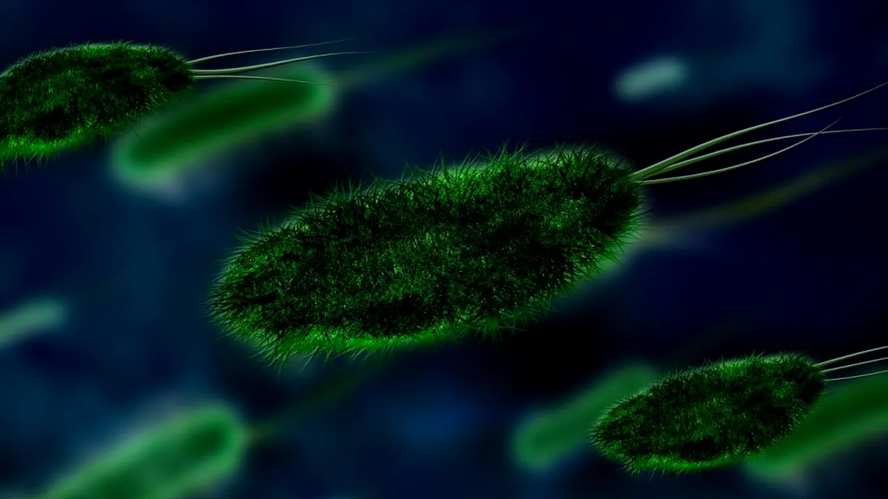 1-bacteria-106583-1280 