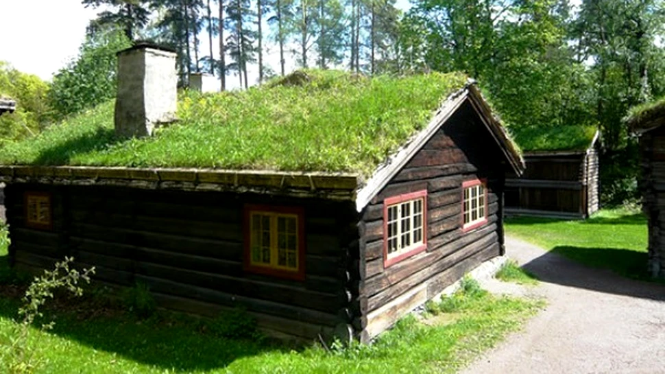 Casele cu acoperisuri vii din Norvegia (FOTO)