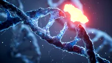 Cinci boli foarte diferite ar putea avea o legătură biologică ascunsă, au descoperit cercetătorii