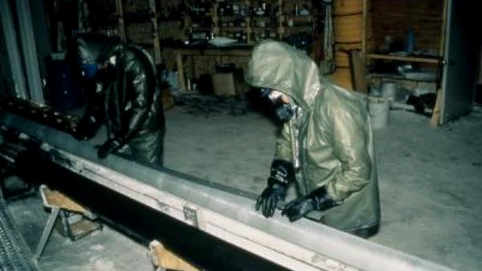Bacterie necunoscuta, descoperita intr-un strat de gheata vechi de 120 000 de ani