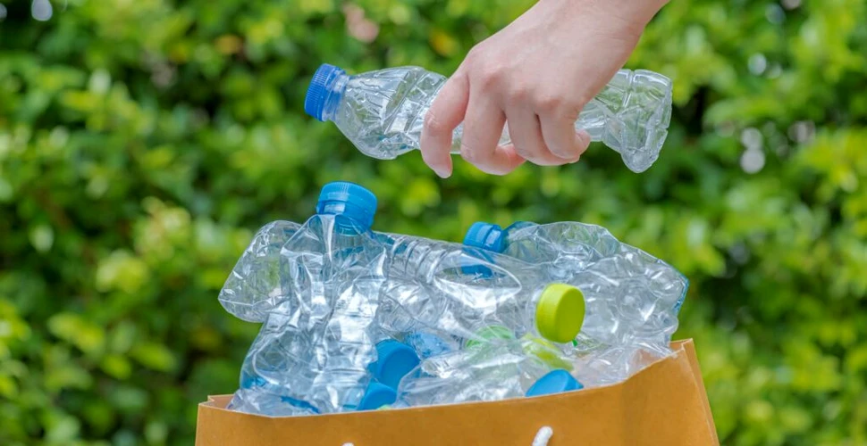 Cum să reducem plasticul în viața de zi cu zi: idei și inspirație