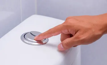 Test de cultură generală. De ce unele toalete au două butoane de tras apa?
