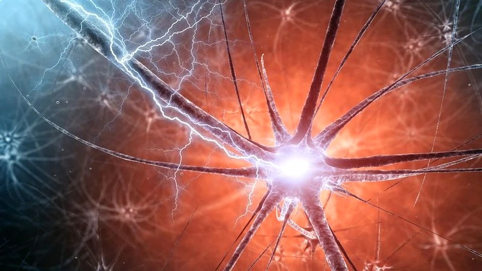 O nouă boală neurodegenerativă a fost descoperită, cel mai des afectaţi sunt copiii