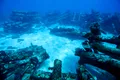 Sunetele stranii ale Oceanului Pacific. Cum încearcă să le explice oamenii de știință?