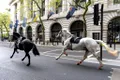 Haos în centrul Londrei după ce doi cai militari au scăpat de sub control