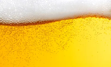 Test de cultură generală. Care animal bea bere pentru sănătate?