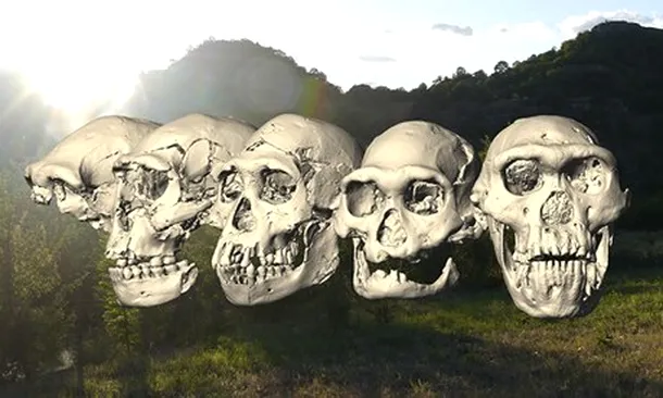 Cele cinci cranii descoperite în Dmanisi