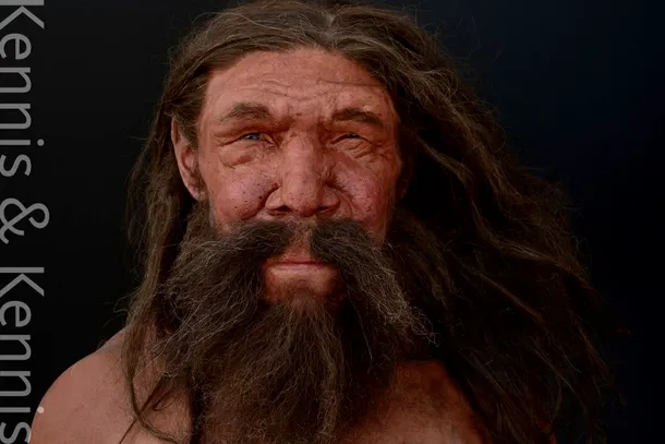 Omul Altamura este primul reprezentant hominid arhaic
