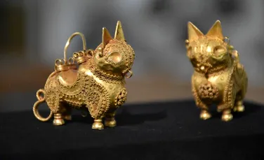 Râși medievali din aur, expuși pentru prima dată după descoperire