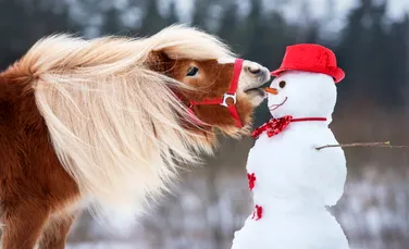 MESAJE DE CRĂCIUN 2025. Urări speciale pentru prieteni, rude sau colegii de la serviciu