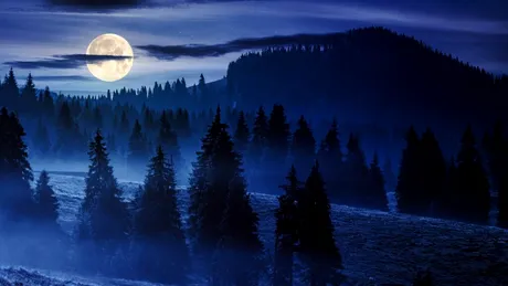 Temperaturile anunțate de meteorologi pentru luna noiembrie