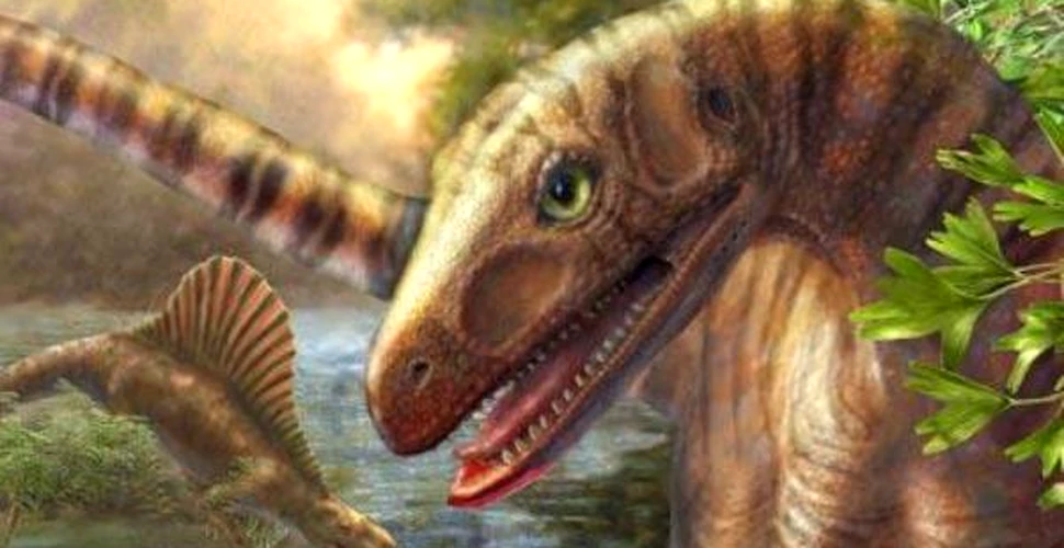 A fost descoperita cea mai “batrana” ruda a dinozaurilor