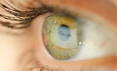 Google a dezvăluit un model AI capabil să identifice peste 2.000 de specii de animale