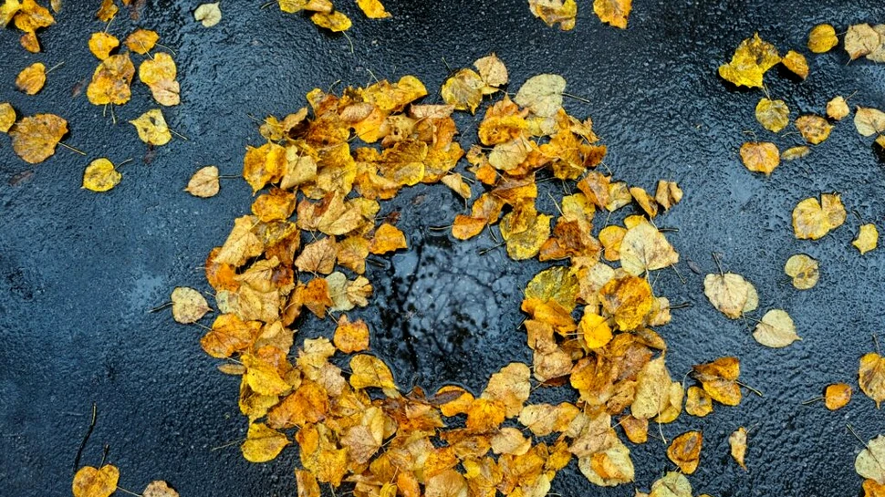 Sudul României nu scapă de ploi, anunță meteorologii. Prognoza pentru 10 noiembrie – 8 decembrie