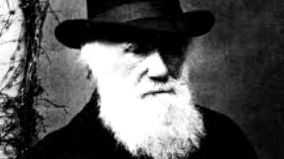 Ce averi au avut geniile secolului XIX?