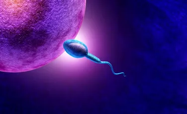 Cercetătorii de la Harvard susțin că studiile privind declinul numărului spermatozoizilor sunt absurde