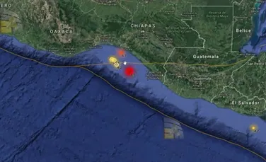 Un cutremur masiv, cu magnitudinea 8 pe scara Richter, a avut loc pe coasta Mexicului. Alertă de tsunami pentru şapte state