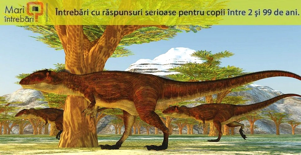 Câți pui făceau dinozaurii?