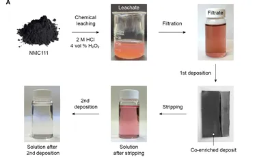 Un acid din struguri ar putea ajuta la reciclarea metalelor din baterii