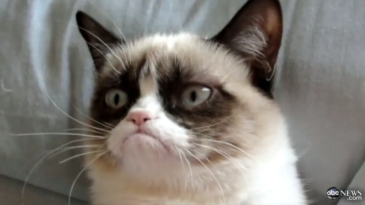 1-grumpy 