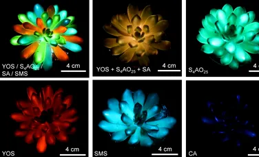 Oamenii de știință au creat în laborator plante care strălucesc în întuneric