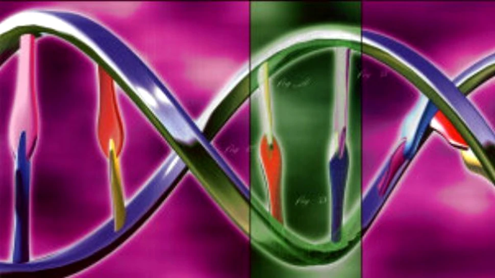 Ce mai poate printa o imprimantă? Material genetic!