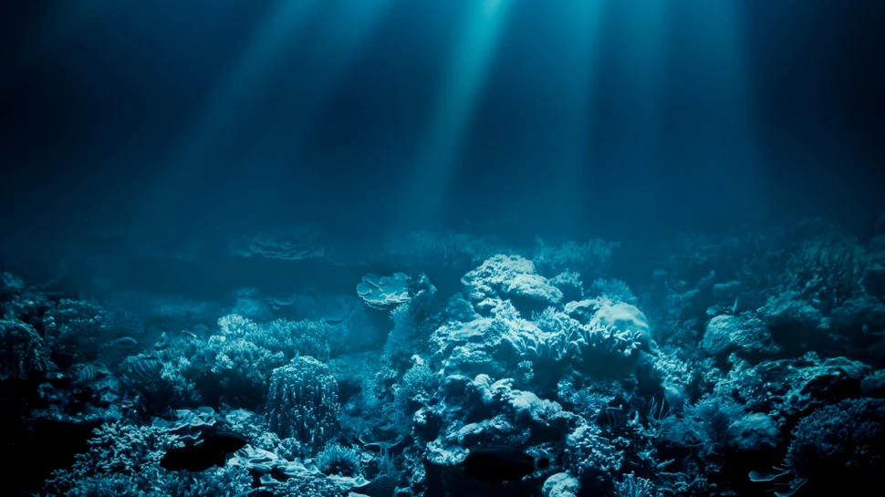 Studiu îngrijorător. Oceanul ar putea stoca mult mai puțin carbon decât am sperat