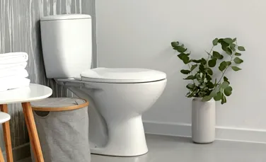 De ce trebuie întotdeauna să lași jos capacul toaletei înainte să tragi apa?
