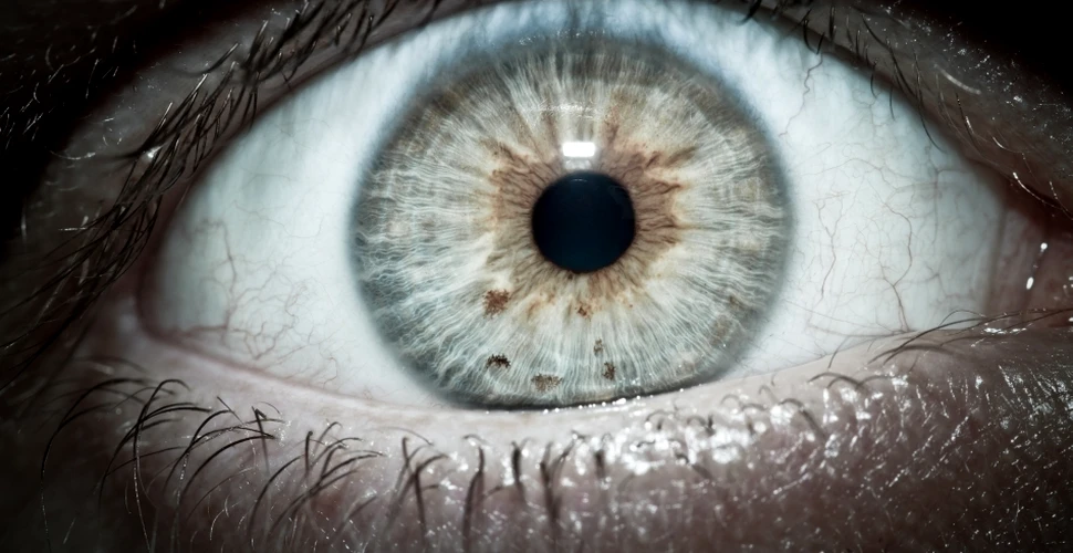 Reuşită remarcabilă: un tratament genetic revoluţionar contra unei boli oculare grave „depăşeşte toate aşteptările”!