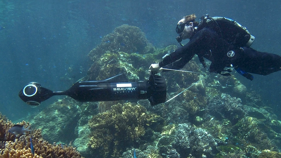 „Google Seaview”: o fereastră unică spre lumea subacvatică (VIDEO)